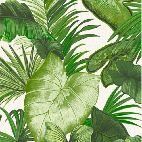 Paraiso - KA